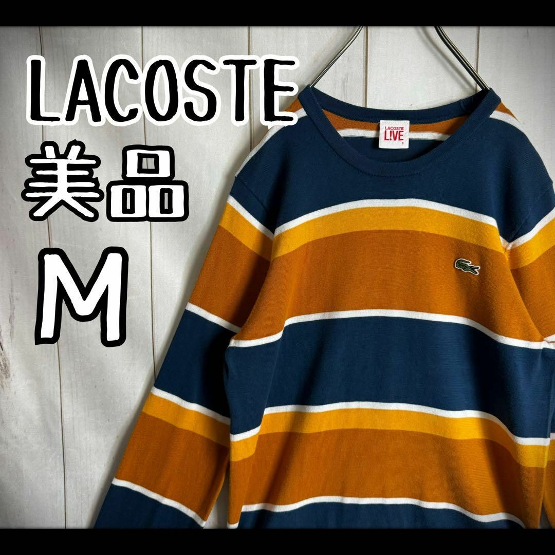 LACOSTE(ラコステ)の【希少カラー】　ラコステ　ニット　薄手　マルチボーダー　刺繍ロゴワッペン　美品 メンズのトップス(ニット/セーター)の商品写真