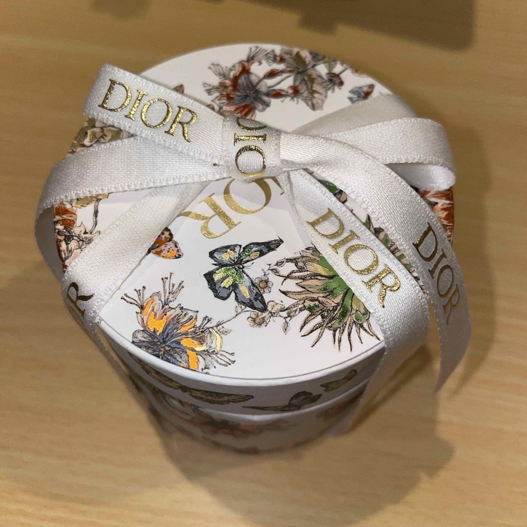 Dior(ディオール)のDIOR 箱 バタフライ ショッパー レディースのバッグ(ショップ袋)の商品写真