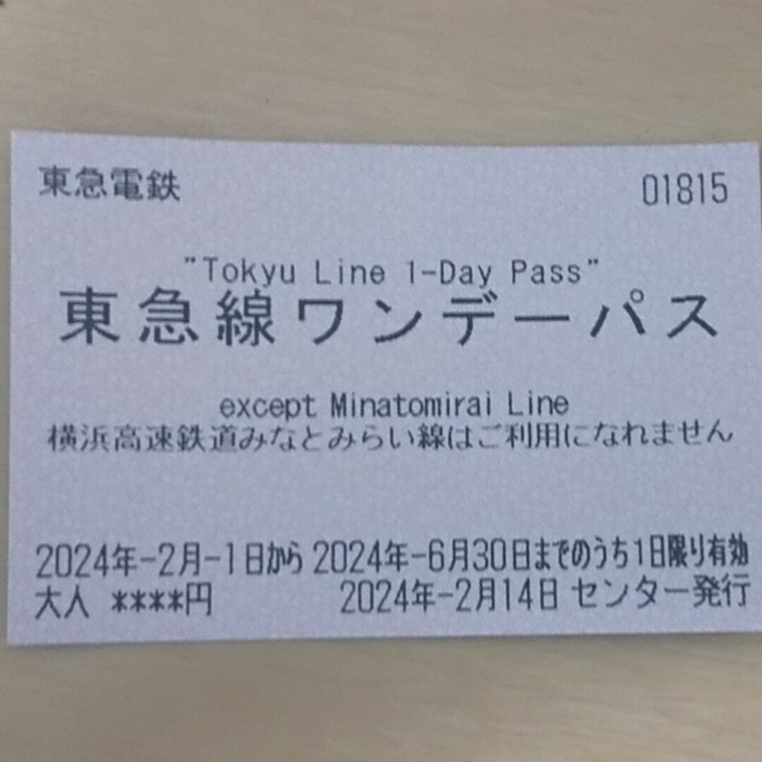 東急線ワンデーパス　1枚 チケットの乗車券/交通券(鉄道乗車券)の商品写真