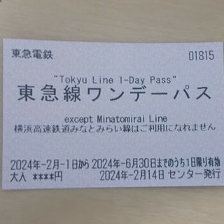 東急線ワンデーパス　1枚(鉄道乗車券)