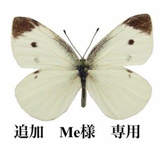 追加　Me様　専用(その他)