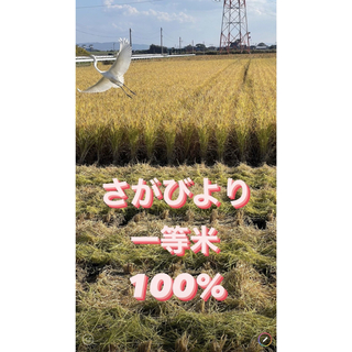 ⭐️新米 令和5年産1等米⭐️佐賀県産さがびより10k(5k×2袋)(米/穀物)