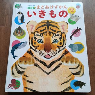 小学館 - まどあけずかん　いきもの　英語つき　子供　図鑑　小学館　どうぶつ　児童書