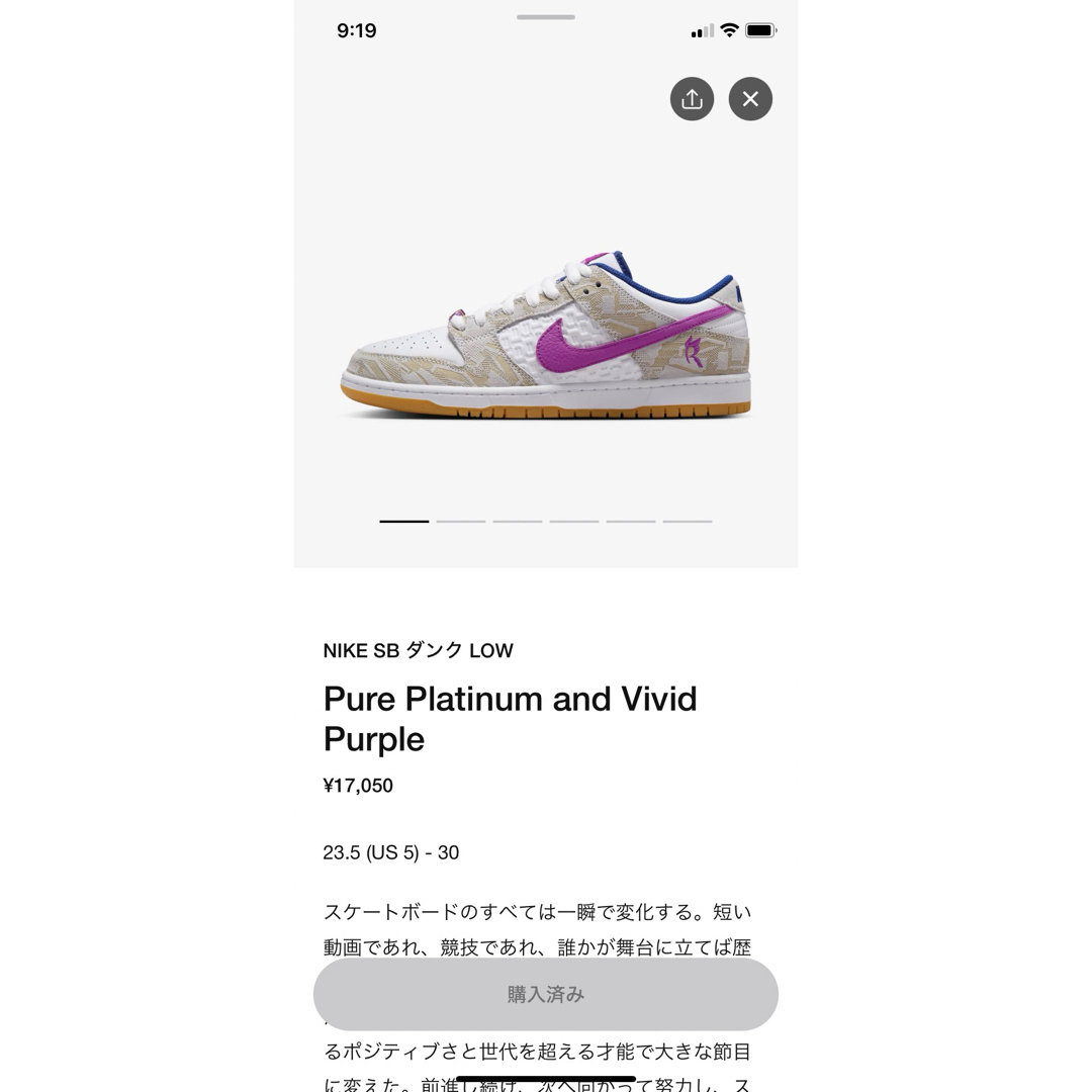 NIKE(ナイキ)のNike SB Dunk Low Rayssa Leal PRM 28.5cm メンズの靴/シューズ(スニーカー)の商品写真