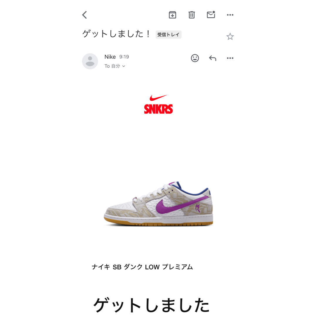 NIKE(ナイキ)のNike SB Dunk Low Rayssa Leal PRM 28.5cm メンズの靴/シューズ(スニーカー)の商品写真