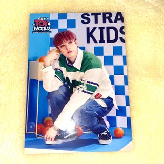 ストレイキッズ(Stray Kids)のバンチャン　ラントレ　skz toy world(アイドルグッズ)