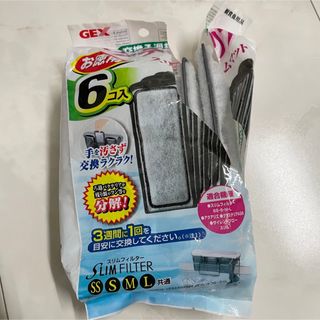 送料無料》ラゲナンドラ ミーボルディレッド 1株❗️(無農薬)の通販 by