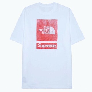シュプリーム(Supreme)のSupreme The North Face S/S Top(Tシャツ/カットソー(半袖/袖なし))