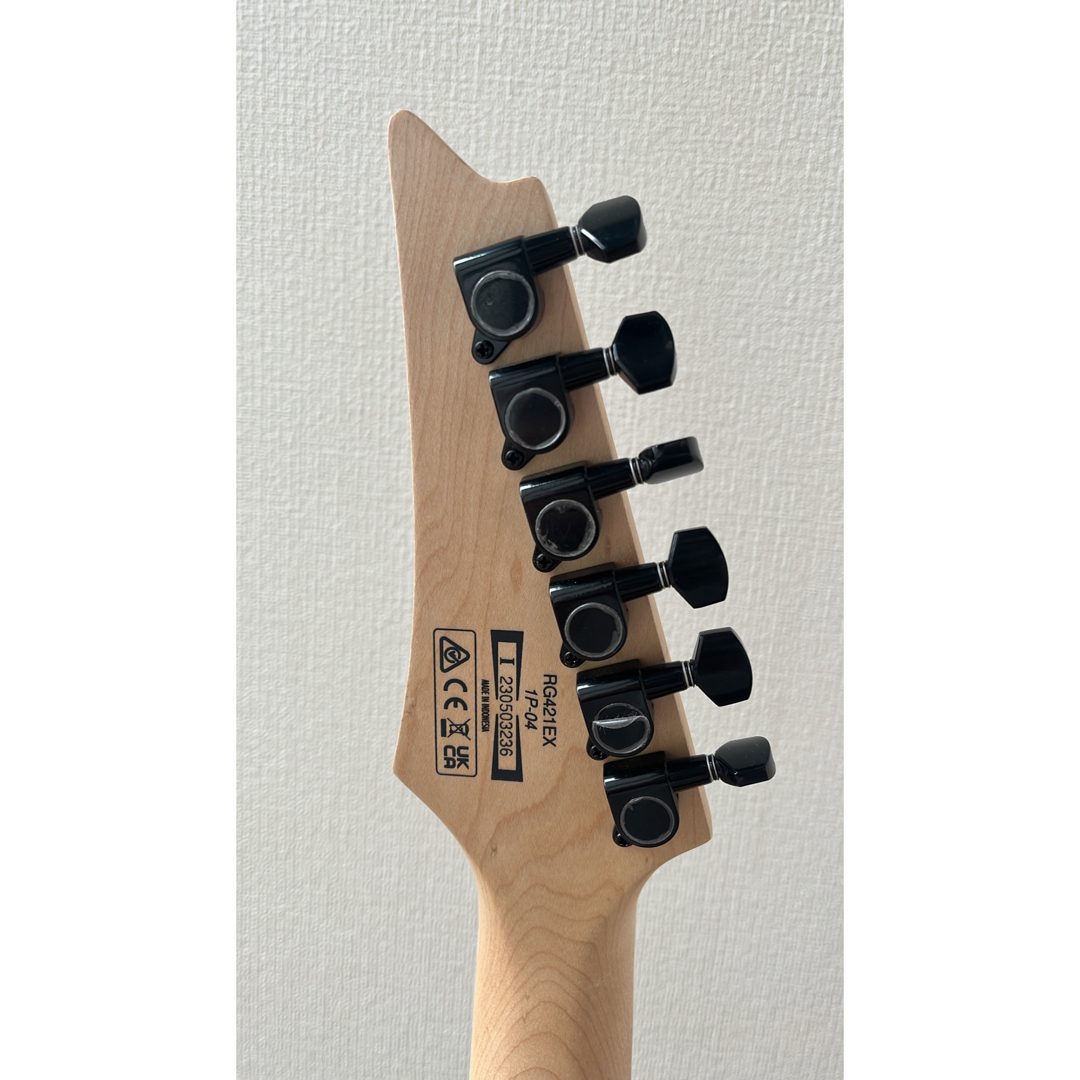 Ibanez(アイバニーズ)のIbanez RG421EX BKF 楽器のギター(エレキギター)の商品写真