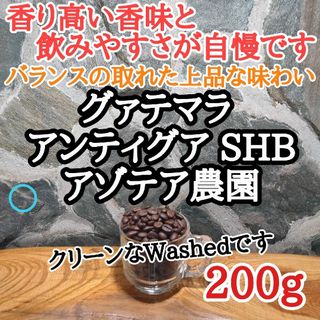 グァテマラSHB 200g 自家焙煎 コーヒー豆 注文後焙煎(コーヒー)