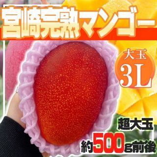 宮崎県産　宮崎完熟マンゴー　1玉　3L　(フルーツ)