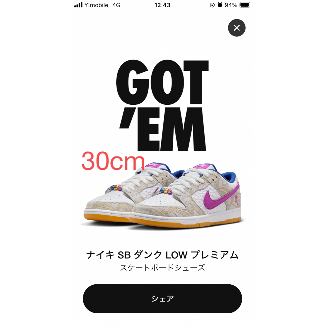 NIKE(ナイキ)のNIKE ライッサ・レアウ × ナイキ SB ダンク LOW PRM メンズの靴/シューズ(スニーカー)の商品写真