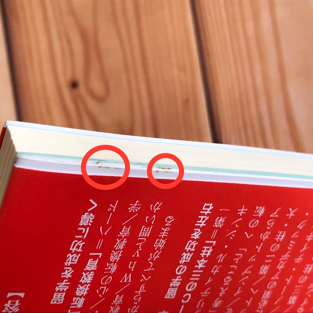 ★新品 海外留学 ハード 楽しい 本気の学びは、人生を変える！ 2冊セット エンタメ/ホビーの本(語学/参考書)の商品写真