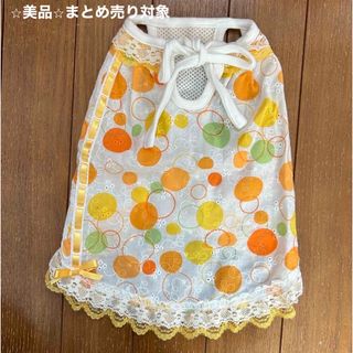 春夏ドッグウェア（美品）(犬)