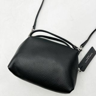 ジャンニキャリーニ(GIANNI CHIARINI)の極美品✨ ジャンニキャリーニ　ショルダーバッグ アリファ Sサイズ 2way(ショルダーバッグ)