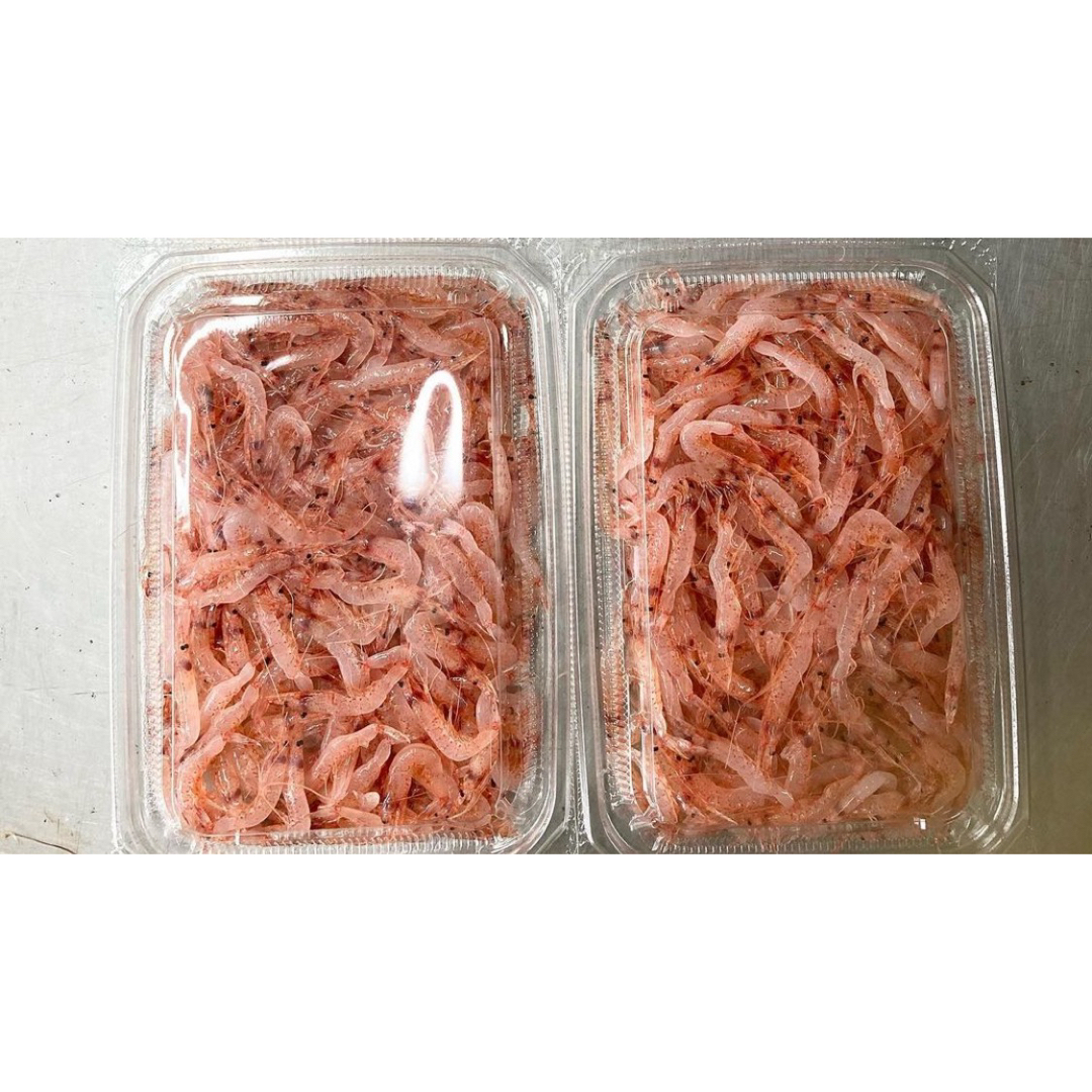 新物 鮮度抜群 生冷凍 桜えび 駿河湾産 200g 業務用 送料無料 食品/飲料/酒の食品(魚介)の商品写真