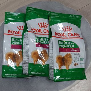 ロイヤルカナン(ROYAL CANIN)のミニ インドアアダルト 800g×3(犬)