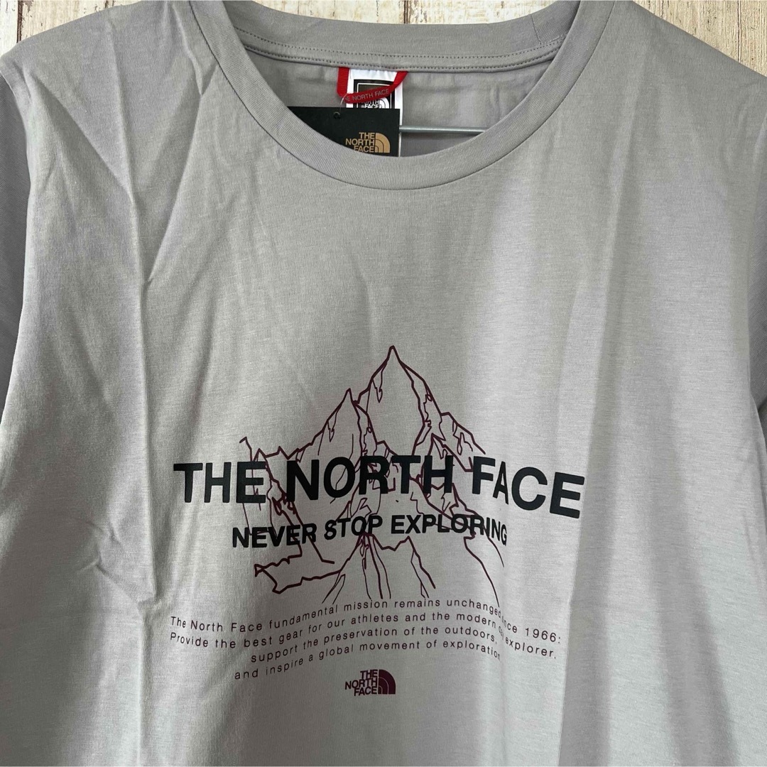 THE NORTH FACE(ザノースフェイス)の【海外限定】TNF　Tシャツ レディース グレー　US/XS　日本サイズS レディースのトップス(Tシャツ(半袖/袖なし))の商品写真