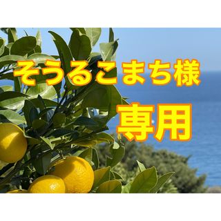 湘南ゴールド　箱込み2､7kg    無農薬　小田原・江の浦産(フルーツ)