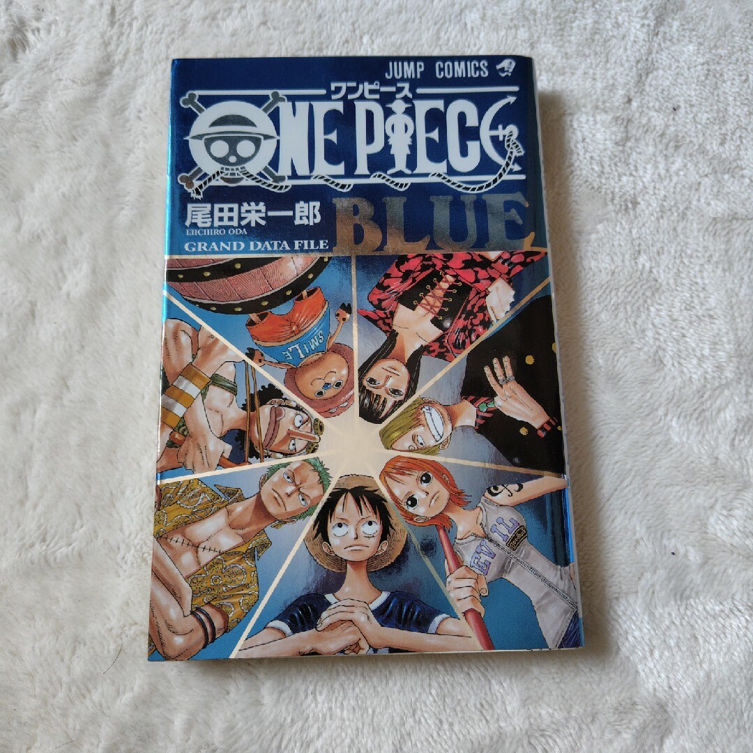 ONE PIECE(ワンピース)のＯＮＥ　ＰＩＥＣＥ　ＢＬＵＥ　ＧＲＡＮＤ　ＤＡＴＡ　ＦＩＬＥ エンタメ/ホビーの漫画(その他)の商品写真