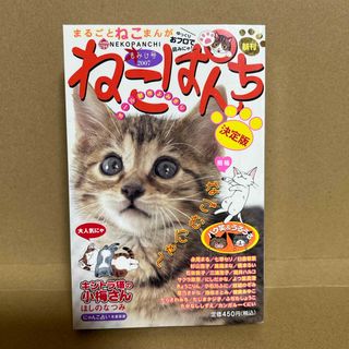 ねこぱんち　もみじ号 （にゃんＣＯＭＩ） アンソロジー　オール新作よみきり決定版(その他)