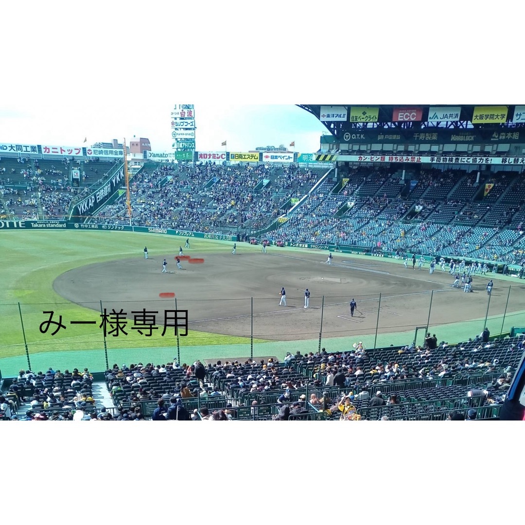阪神タイガース(ハンシンタイガース)のみー様専用！　６月２3日、７月２０日 チケットのスポーツ(野球)の商品写真