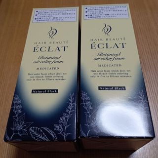 ボタニカルエアカラーフォームEX  ナチュラルブラック　80g  限定お値下げ中(白髪染め)