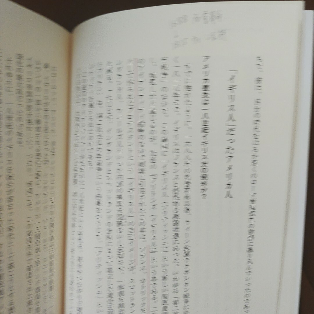 「興亡の世界史 16 大英帝国という経験」井野瀬 久美惠 講談社　ハードカバー エンタメ/ホビーの本(人文/社会)の商品写真