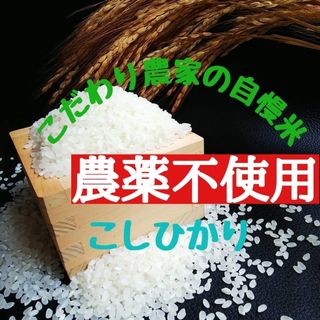 こだわり農家の自慢米  白米5㎏(無農薬栽培)　　　　　令和5年産(米/穀物)