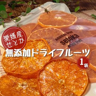 愛媛県産せとかドライフルーツ そのまんま乾燥果物40g ドライシトラス(フルーツ)