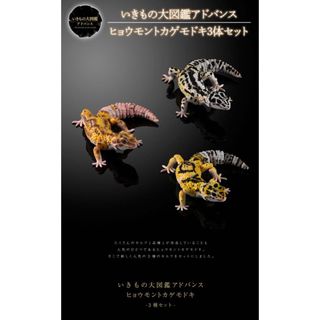 バンダイ(BANDAI)のいきもの大図鑑アドバンス　ヒョウモントカゲモドキ　3体セット(その他)