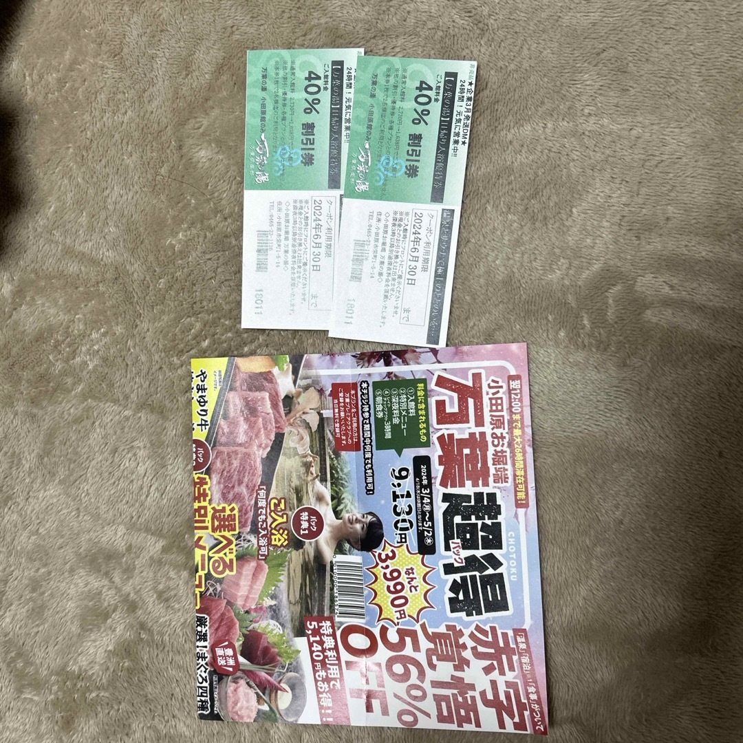 万葉の湯小田原限定 チケットの優待券/割引券(その他)の商品写真