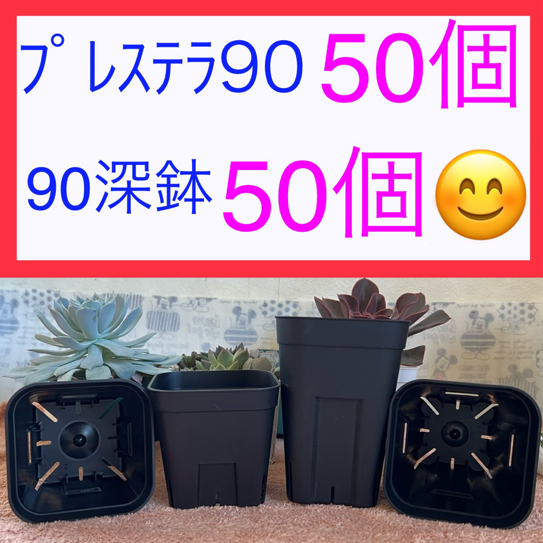 E10 プレステラお得ｾｯﾄ★ 【90ｻｲｽﾞ50個】【90深鉢50個】 ハンドメイドのフラワー/ガーデン(プランター)の商品写真