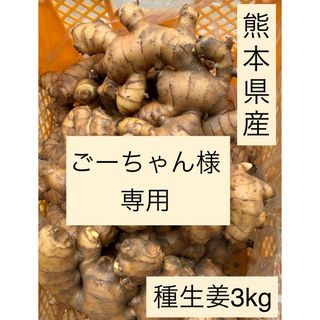 熊本県産　種生姜　3kg(野菜)