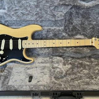 Fender - Fender USA Professional Stratocaster Ash