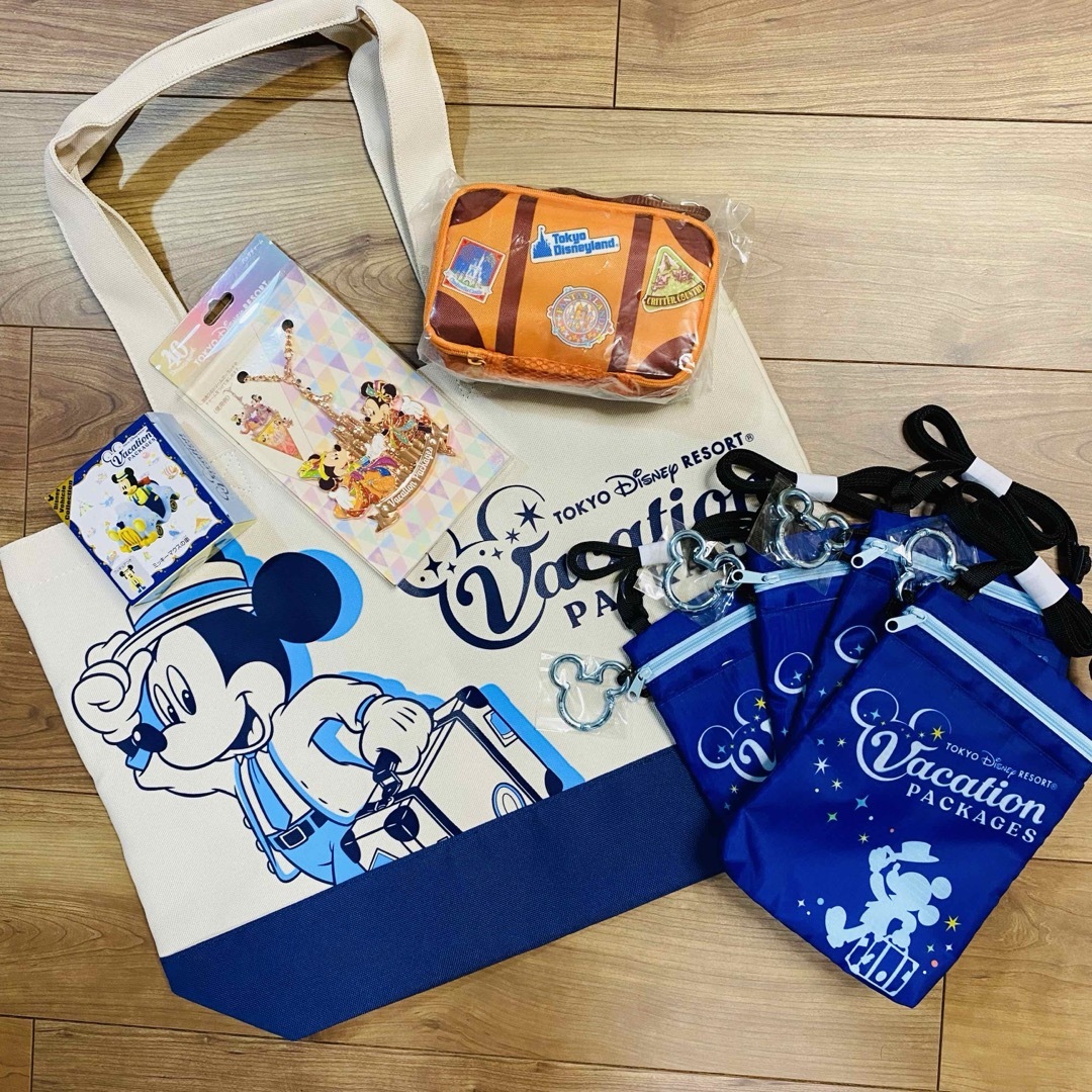 Disney(ディズニー)のバケーションパッケージ　記念品セット　東京ディズニーリゾート　バケパ　40周年 エンタメ/ホビーのコレクション(ノベルティグッズ)の商品写真