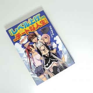 ホビージャパン(HobbyJAPAN)のリアルでレベル上げしたらほぼチ－トな人生になった(文学/小説)