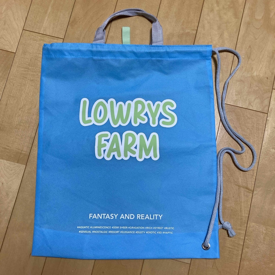 LOWRYS FARM(ローリーズファーム)のローリーズファーム　ショップバック レディースのバッグ(ショップ袋)の商品写真