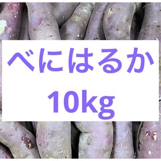 サービス品　「べにはるか」さつまいも　10kg  (野菜)