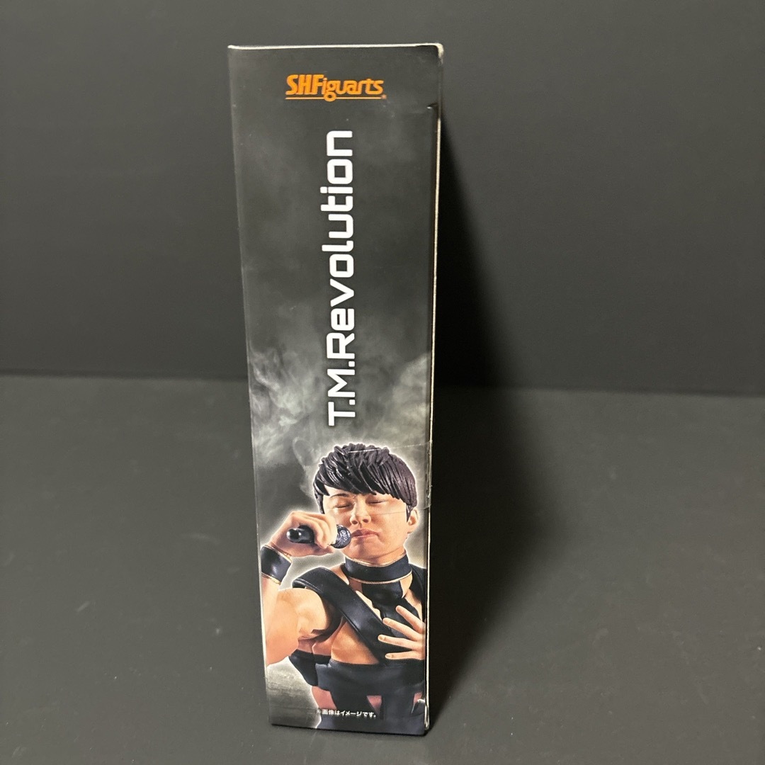 BANDAI(バンダイ)のS.H.Figuarts魂ウェブ商店T.M.Revolution エンタメ/ホビーのフィギュア(その他)の商品写真