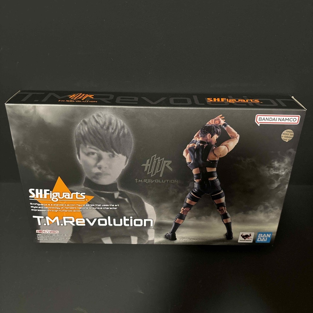 BANDAI(バンダイ)のS.H.Figuarts魂ウェブ商店T.M.Revolution エンタメ/ホビーのフィギュア(その他)の商品写真