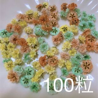 オレンジ×ミントグリーン系 かすみ草ドライフラワー100粒(ドライフラワー)