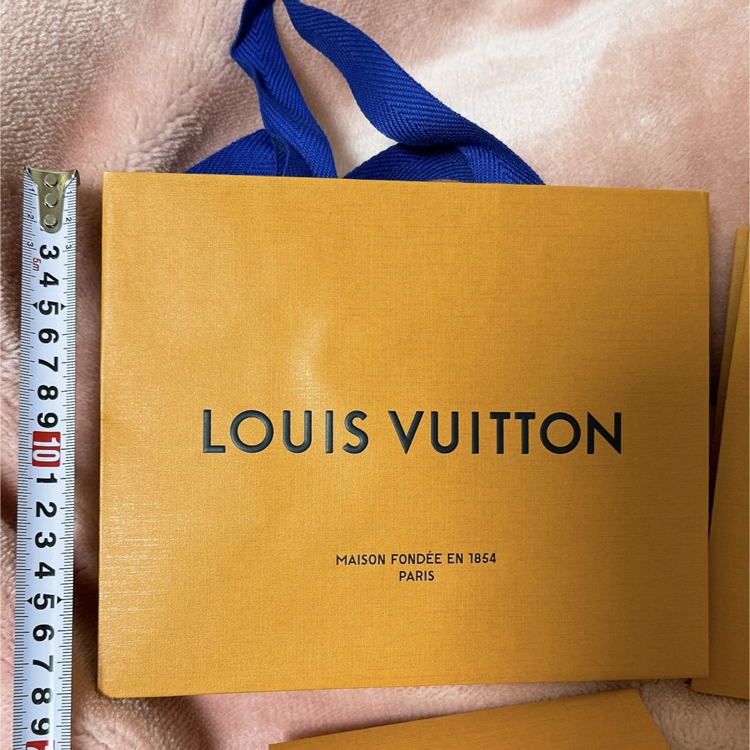 LOUIS VUITTON(ルイヴィトン)のルイヴィトン　ショッパー　LV ハイブランド　2枚 レディースのバッグ(ショップ袋)の商品写真