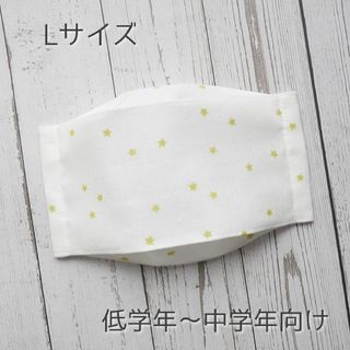 check&stripe♡ハンドメイドマスク 舟型 Lサイズ(外出用品)