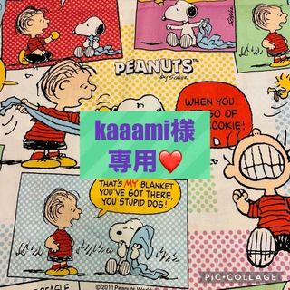 kaaami様専用ページ(その他)