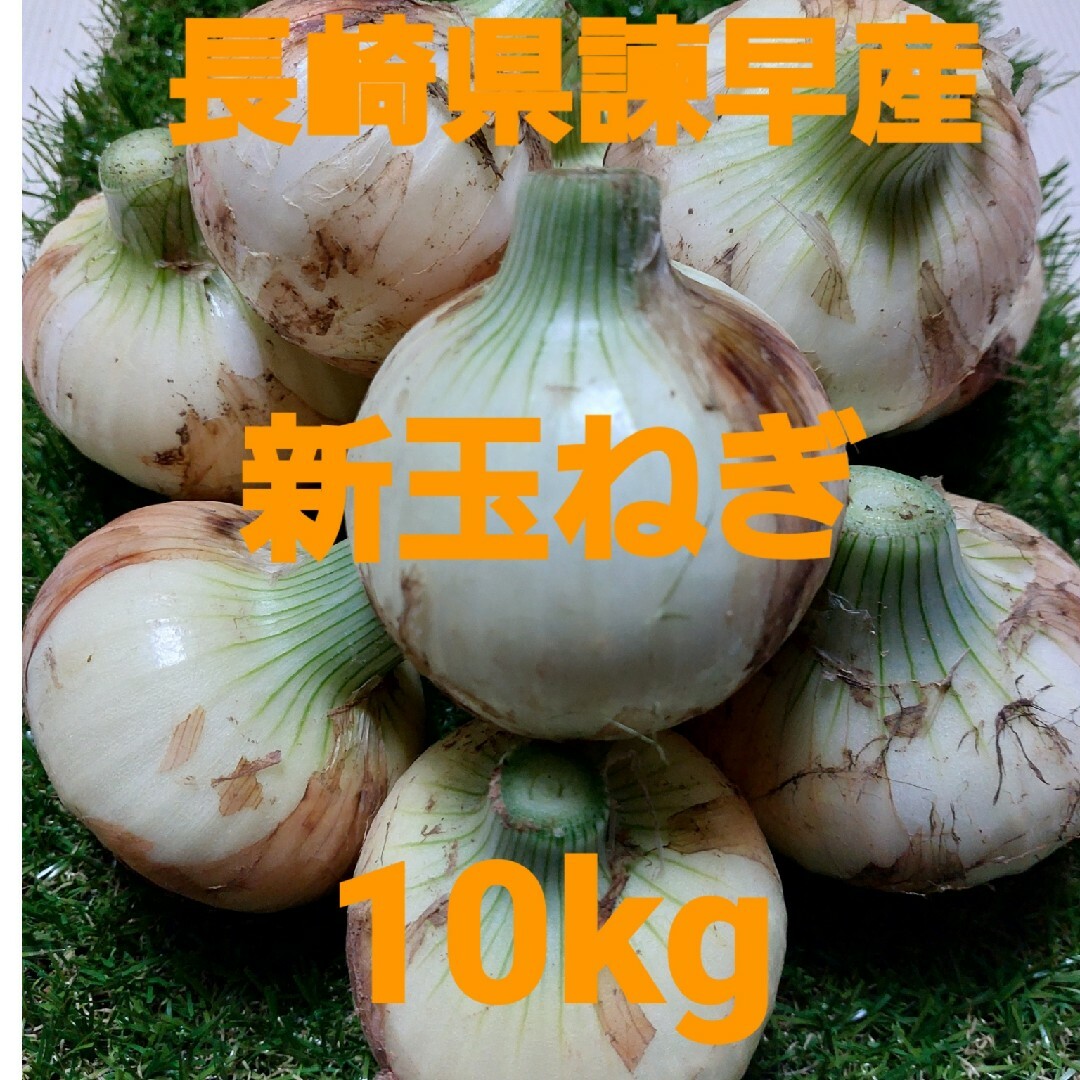 長崎県諫早産新玉ねぎ10kg 食品/飲料/酒の食品(野菜)の商品写真