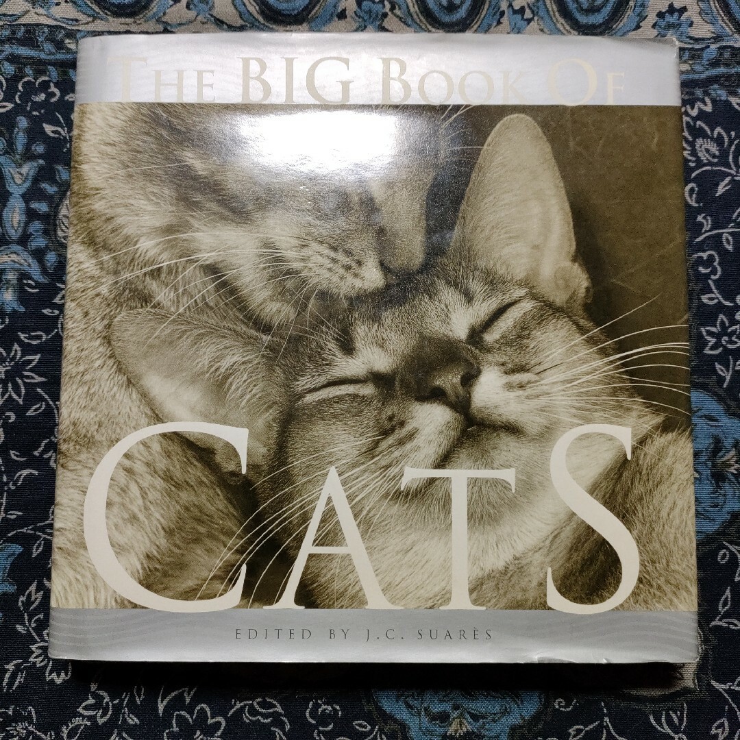 洋書　動物　猫　写真集　THE BIG BOOK OF CATS　英語 エンタメ/ホビーの本(洋書)の商品写真