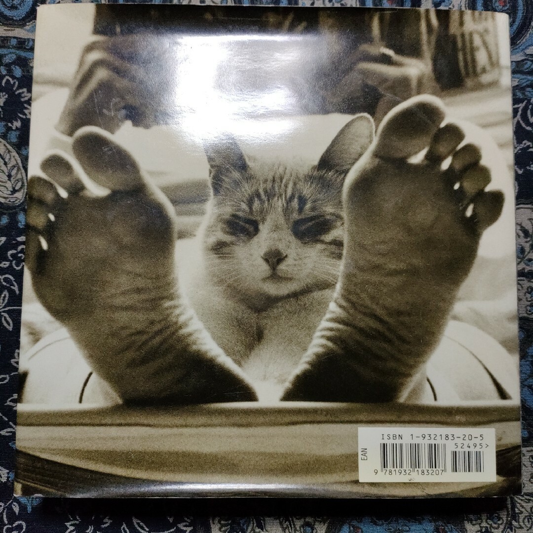 洋書　動物　猫　写真集　THE BIG BOOK OF CATS　英語 エンタメ/ホビーの本(洋書)の商品写真