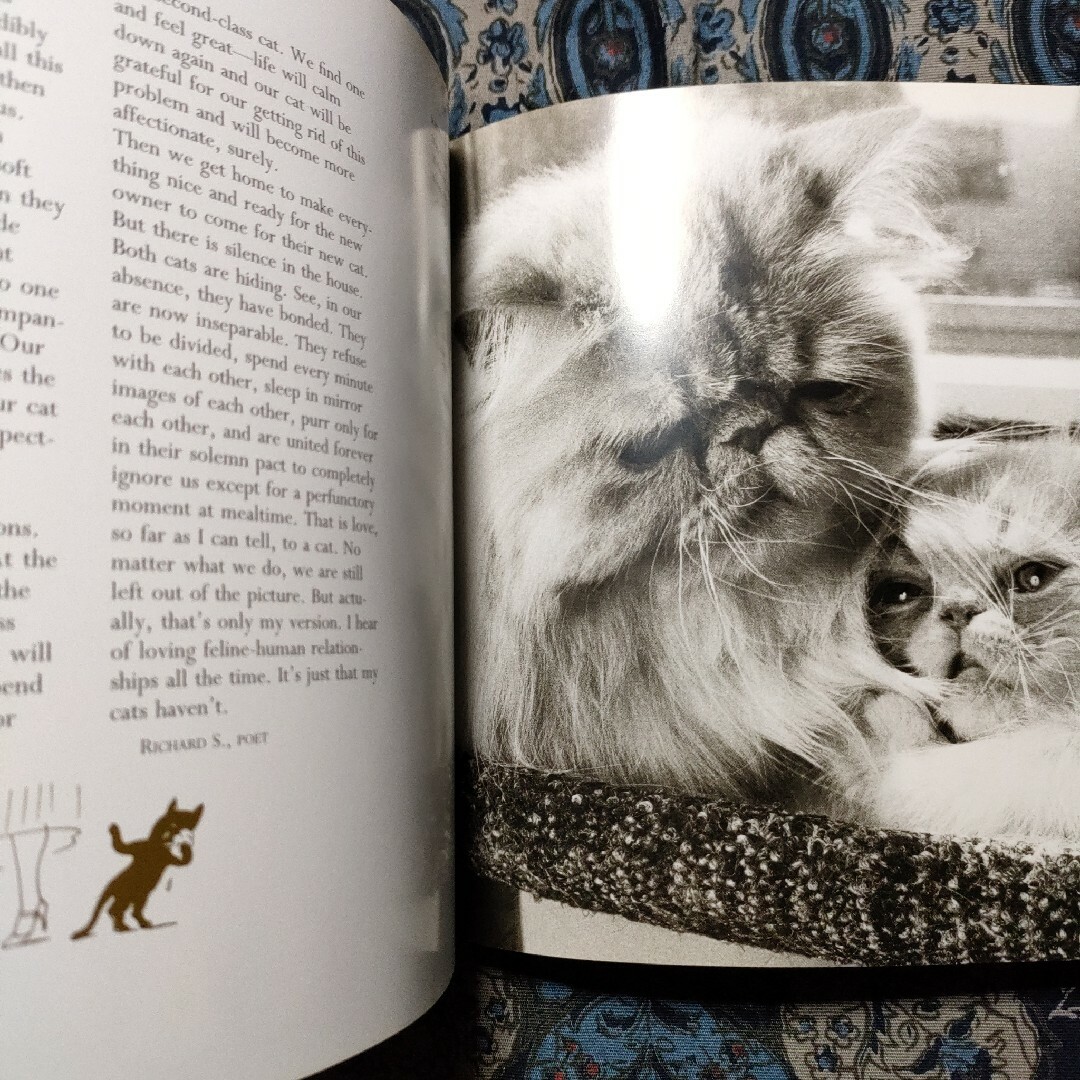 洋書　動物　猫　写真集　THE BIG BOOK OF CATS　英語 エンタメ/ホビーの本(洋書)の商品写真