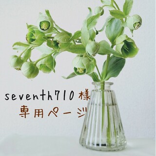 seventh710様専用★ドライフラワー スワッグ 大①(ドライフラワー)